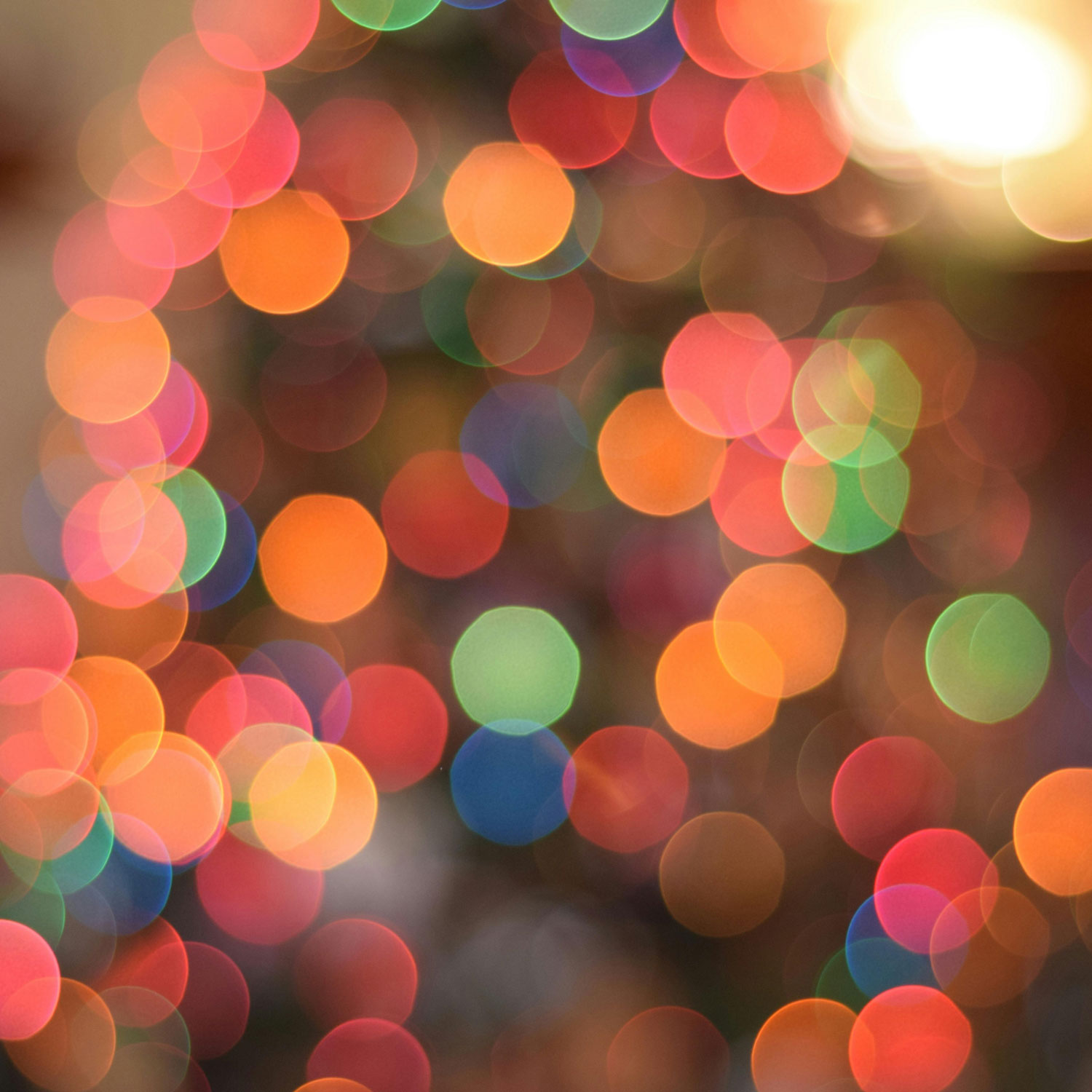 Surviving Christmas Alone Mindkey Therapy