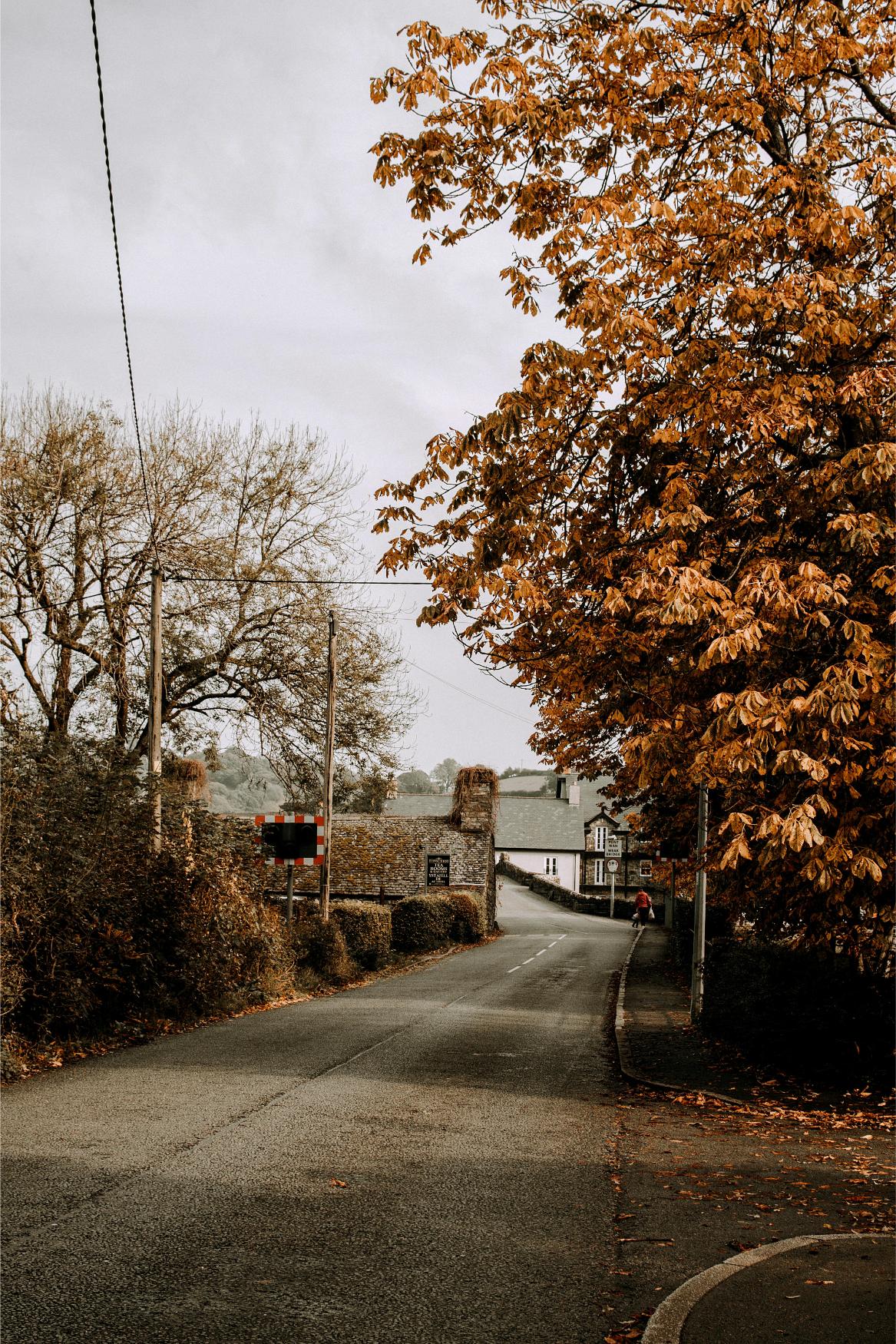 CBT Therapist in North Wales